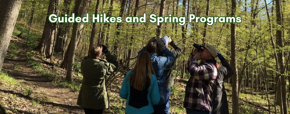 Spring Programs.png