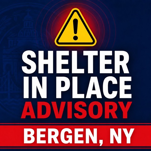 Shelter.jpg