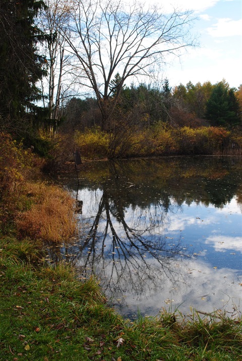 Fall 2010 023.JPG