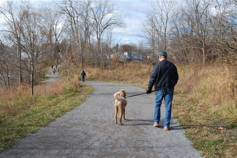 Guided Dog Walk