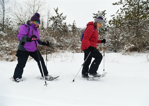 Snowshoeing 
