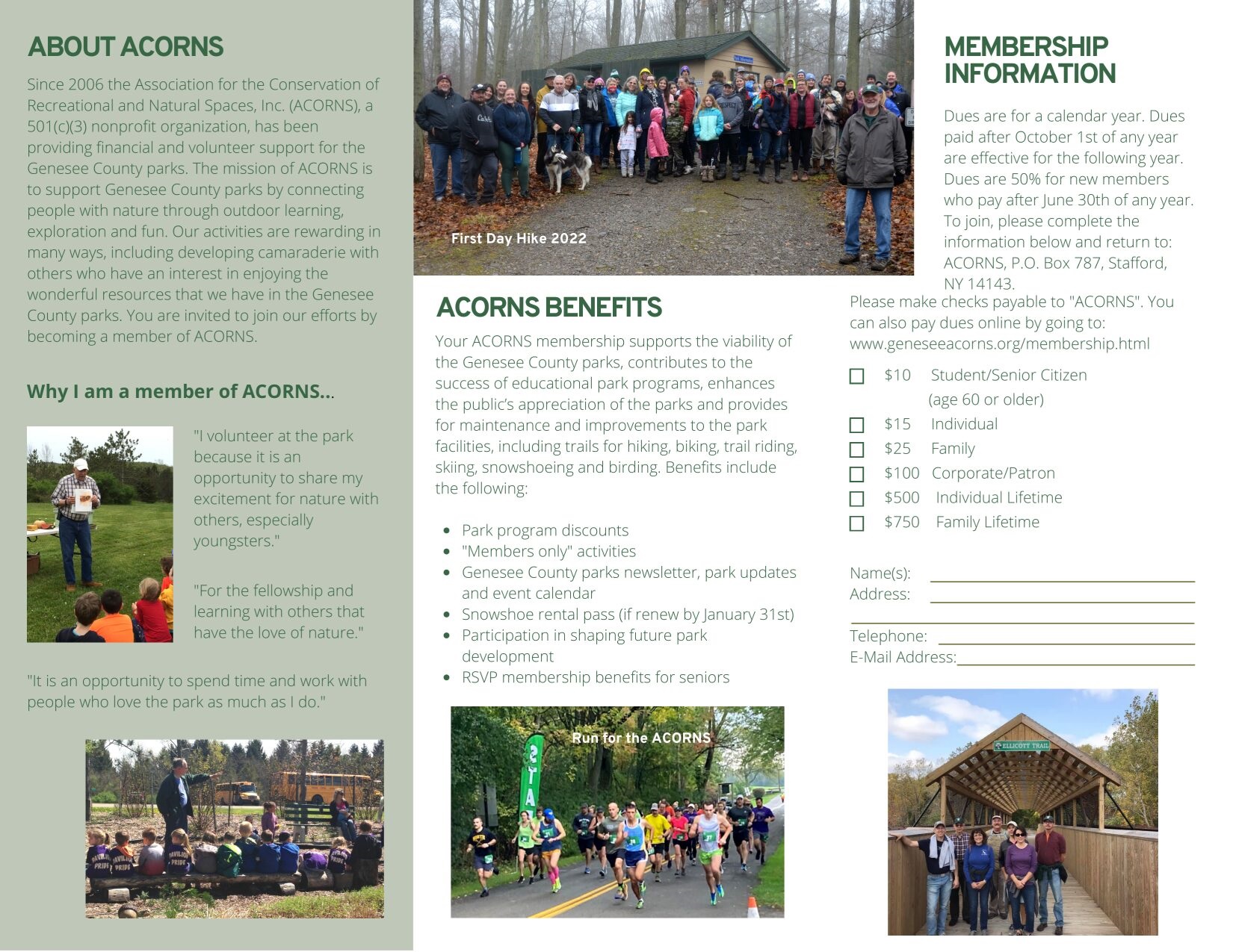 ACORNS brochure.jpg