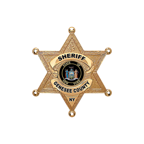 Sheriff badge transparent.png